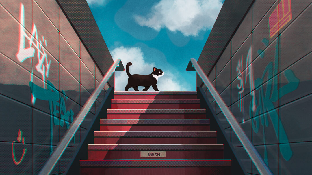 ILLUSTRATIONS